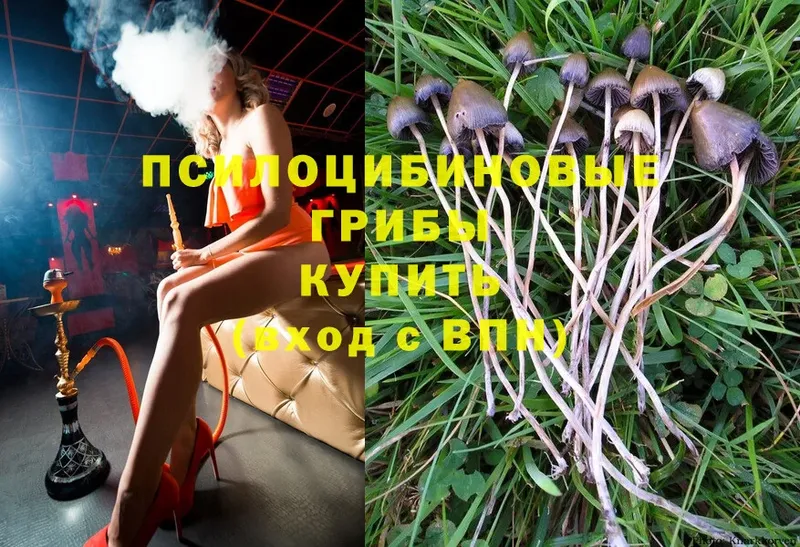 Псилоцибиновые грибы Magic Shrooms  Новопавловск 